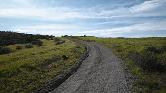 Enlarge photo 65