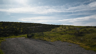 Enlarge photo 66
