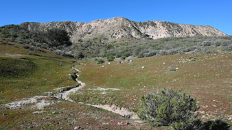 RANCHO DELUXE