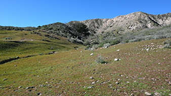 Enlarge photo 2