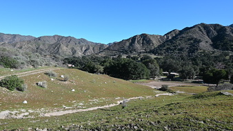 Enlarge photo 4