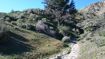 Enlarge photo 6
