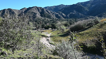 Enlarge photo 7