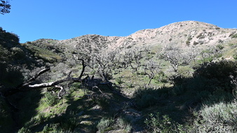 Enlarge photo 8
