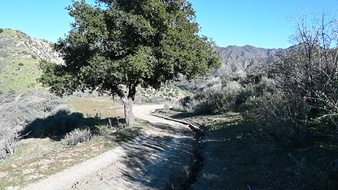 RANCHO DELUXE - CEMETERY CLEARING