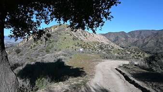 Enlarge photo 2