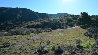 Enlarge photo 4