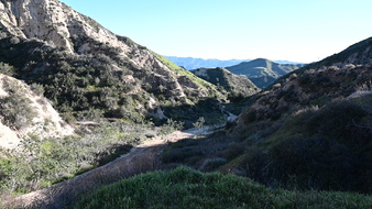 Silverstrand