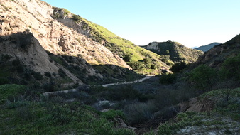 Enlarge photo 15