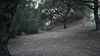 Enlarge photo 30