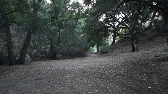 Enlarge photo 31