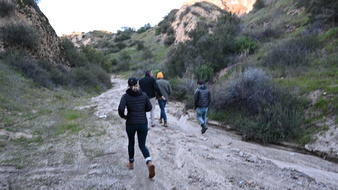Enlarge photo 32