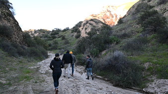 Enlarge photo 33