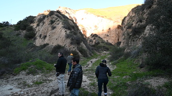 Enlarge photo 37
