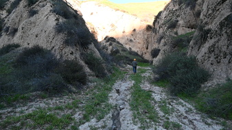 Enlarge photo 39