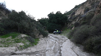 Enlarge photo 40