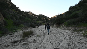 Enlarge photo 41