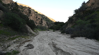 Enlarge photo 42