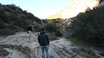 Enlarge photo 43