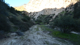 Enlarge photo 44