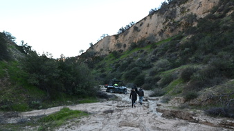 Enlarge photo 45