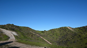 Enlarge photo 47