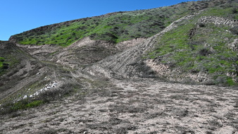 Enlarge photo 18