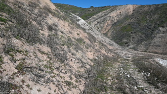Enlarge photo 14