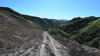 Enlarge photo 11