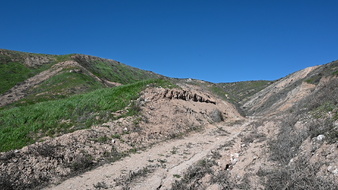 Enlarge photo 7