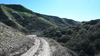 Enlarge photo 6