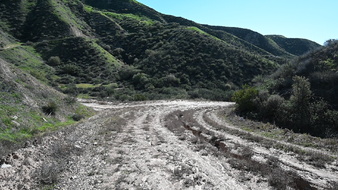 Enlarge photo 4