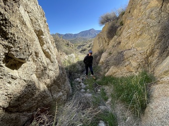 Enlarge photo 5