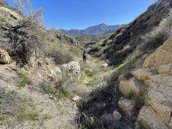 Enlarge photo 7