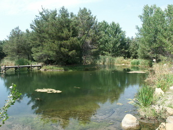 Enlarge photo 10