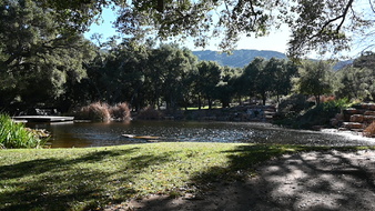 Enlarge photo 2