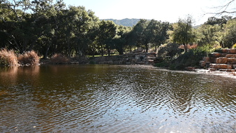 Enlarge photo 4