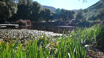 Enlarge photo 5