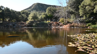 Enlarge photo 6
