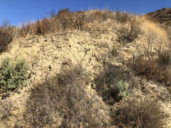 Enlarge photo 36