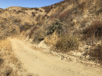 Enlarge photo 27