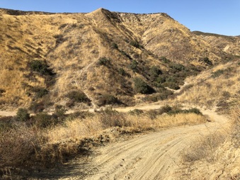 Enlarge photo 35