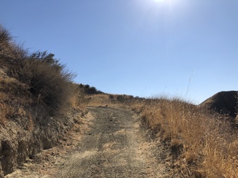 Enlarge photo 28