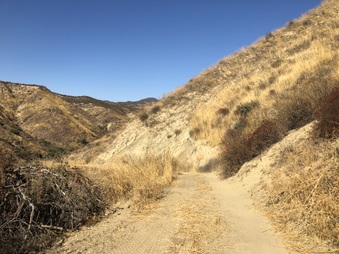 Enlarge photo 20