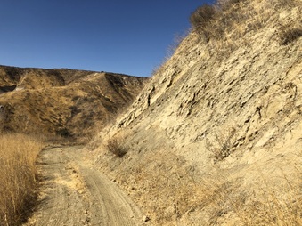 Enlarge photo 22