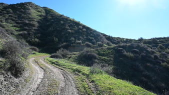 Enlarge photo 3