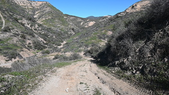 Enlarge photo 4