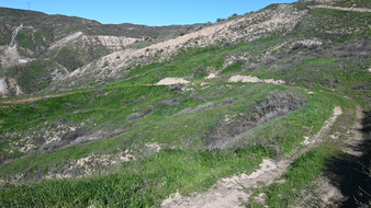 Enlarge photo 7