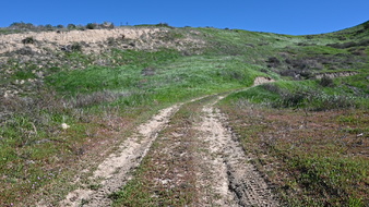 Enlarge photo 10