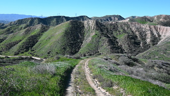 Enlarge photo 11